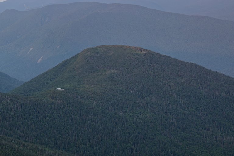 Galehead Mountain ridge at dawn with dense forest and soft early light in White Mountains
