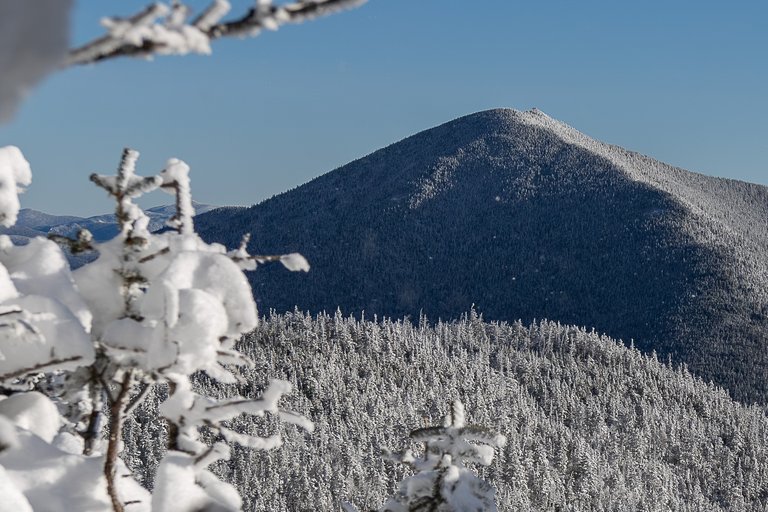 Snow-covered trees with Mount Carrigain peak under clear blue winter sky