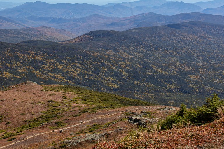 Trail on Mount Isolation ridge with fall colors in White Mountains, New Hampshire