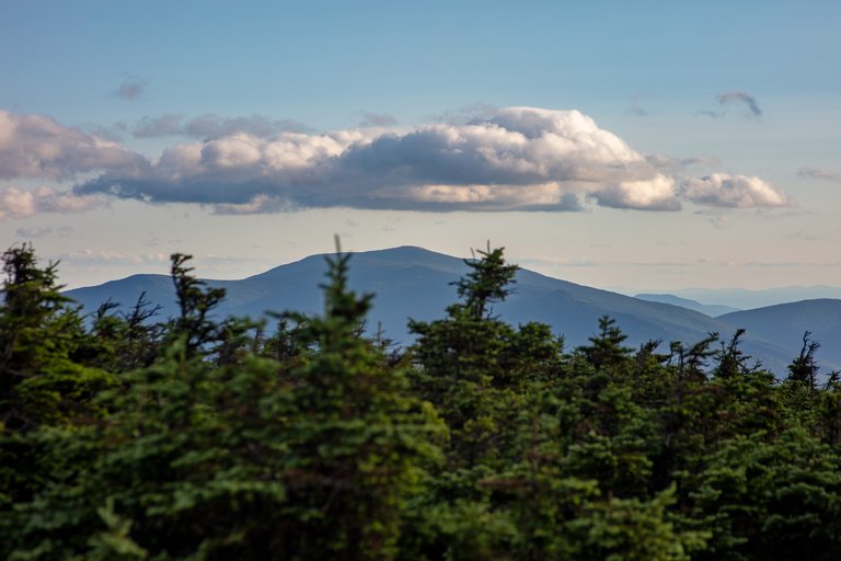 Mount Moosilauke summit view with alpine firs and layered clouds at sunset in White Mountains