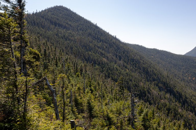 Mount Osceola East forested ridge under clear blue sky in fall afternoon