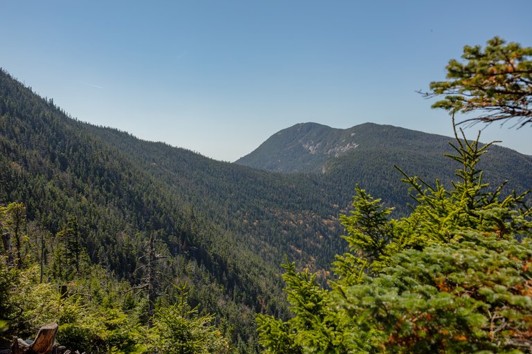Mount Osceola ridge under clear blue sky with dense forest in White Mountains