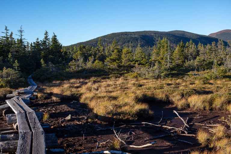 Wooden boardwalk over marsh with Mount Pierce in background under clear blue sky