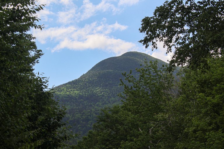 Mount Willey peak in White Mountains framed by green trees under blue sky with clouds