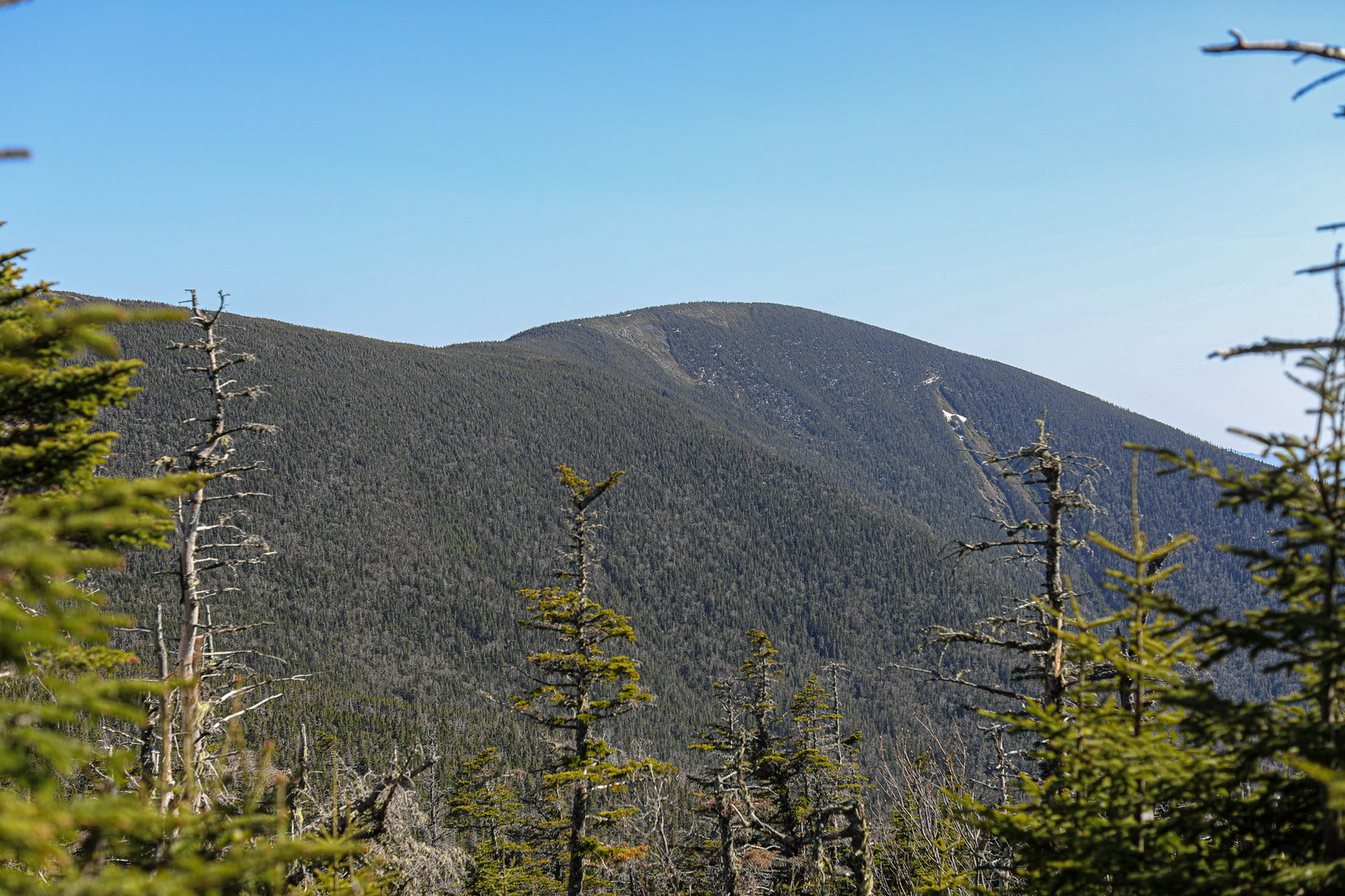 Clear afternoon view of Carter Dome peak with forest and blue sky in White Mountains