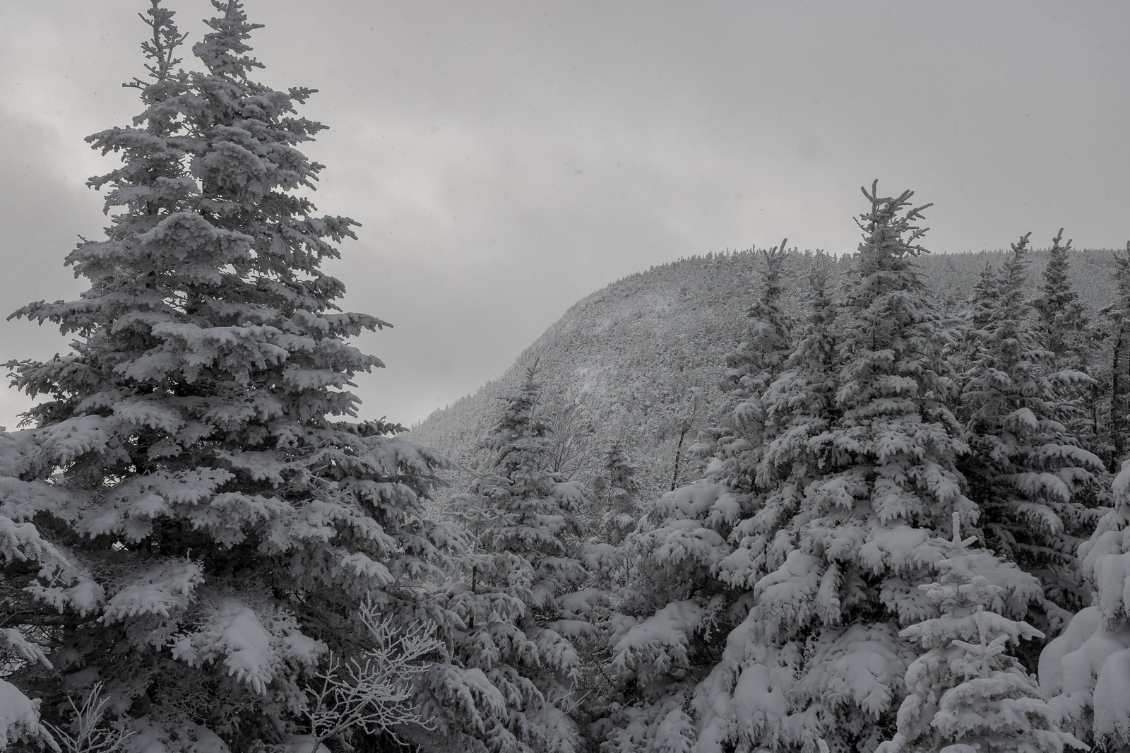 Vue de Mont Galehead dans les White Mountains