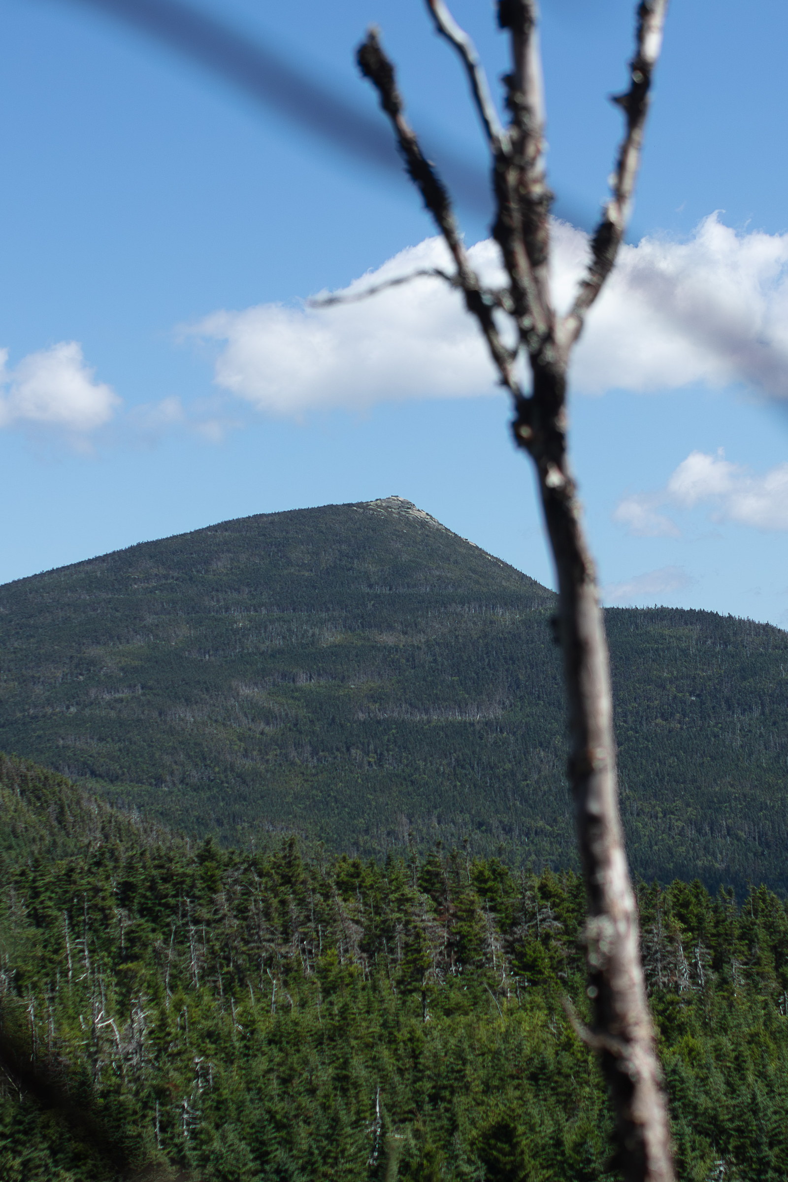 Vue de Mont Garfield dans les White Mountains