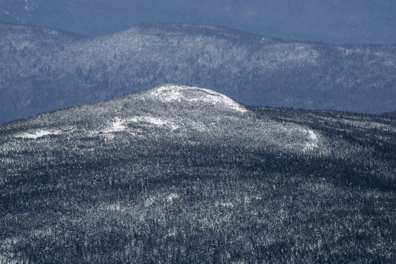 Snow-covered Mount Jackson ridge with dense frosted forest in winter afternoon light