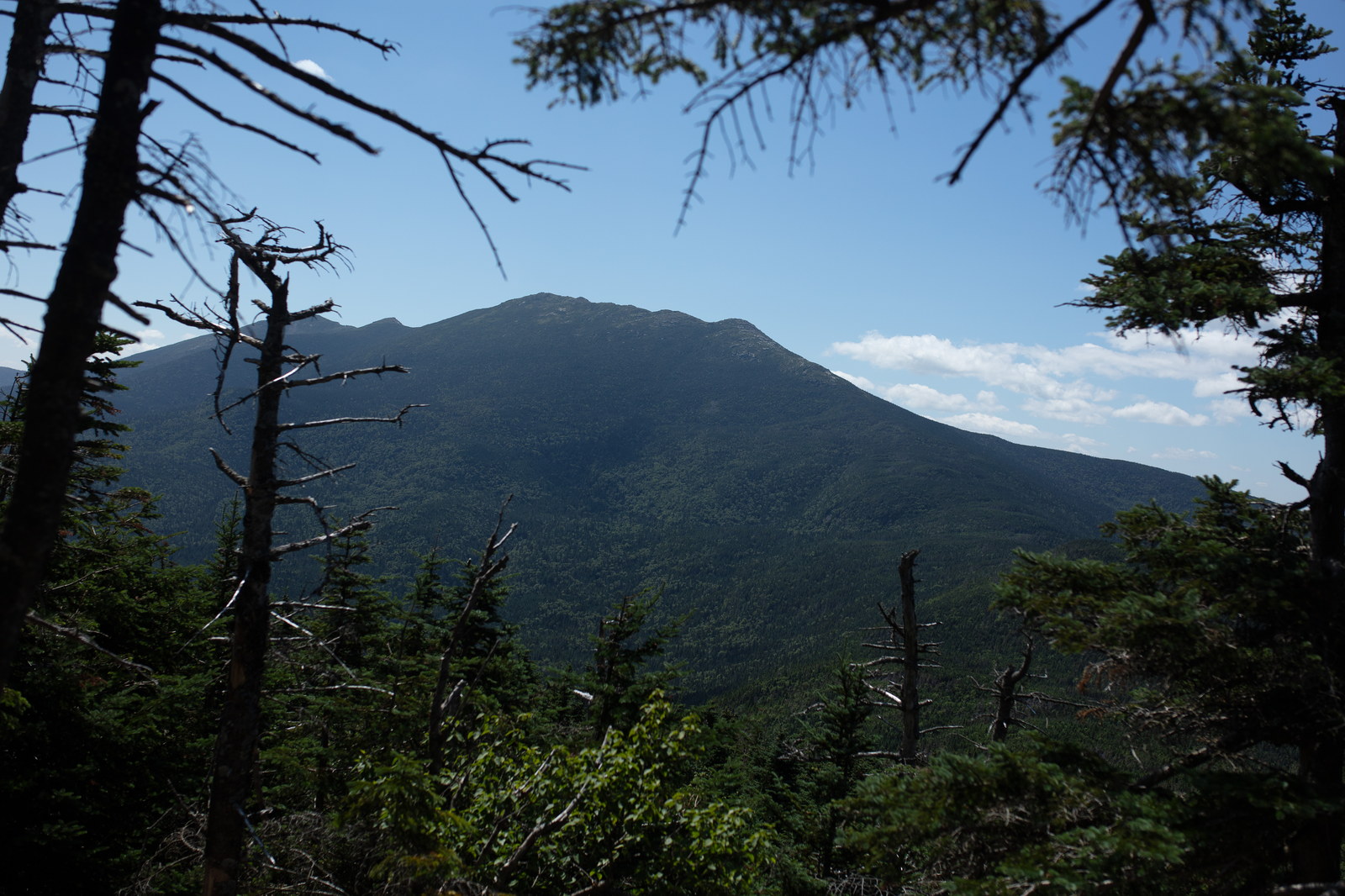 Vue de Mont Lafayette dans les White Mountains