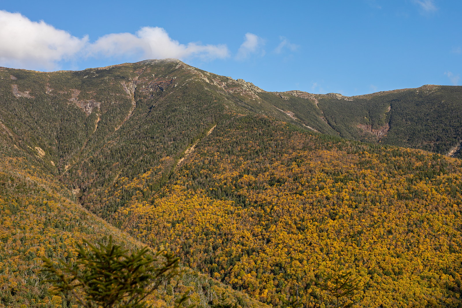 Vue de Mont Lincoln dans les White Mountains