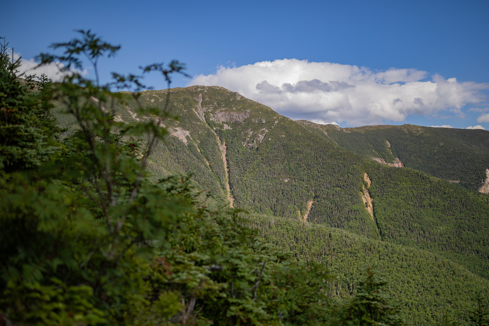 Vue de Mont Lincoln dans les White Mountains