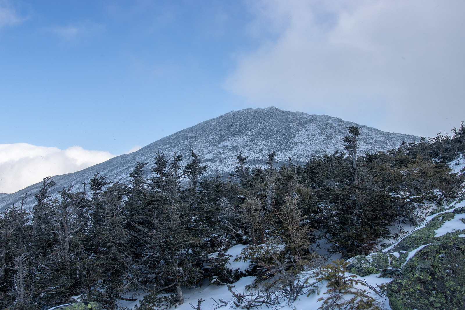 Mount Madison peak dusted with snow under blue winter sky with evergreen trees in foreground