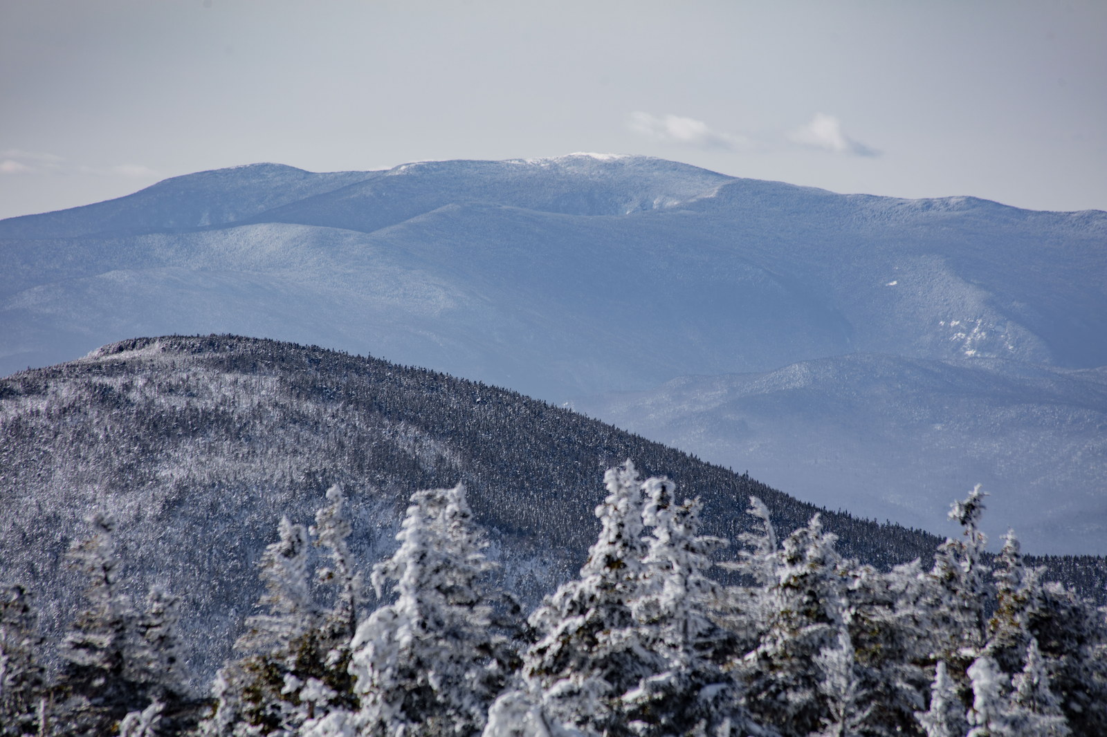 Snow-covered trees in foreground with Mount Moosilauke in winter background under clear sky