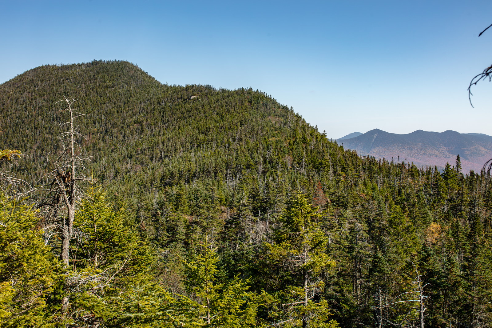 Mount Osceola - East Peak. Mount Osceola East forested slopes under clear blue sky in fall afternoon
