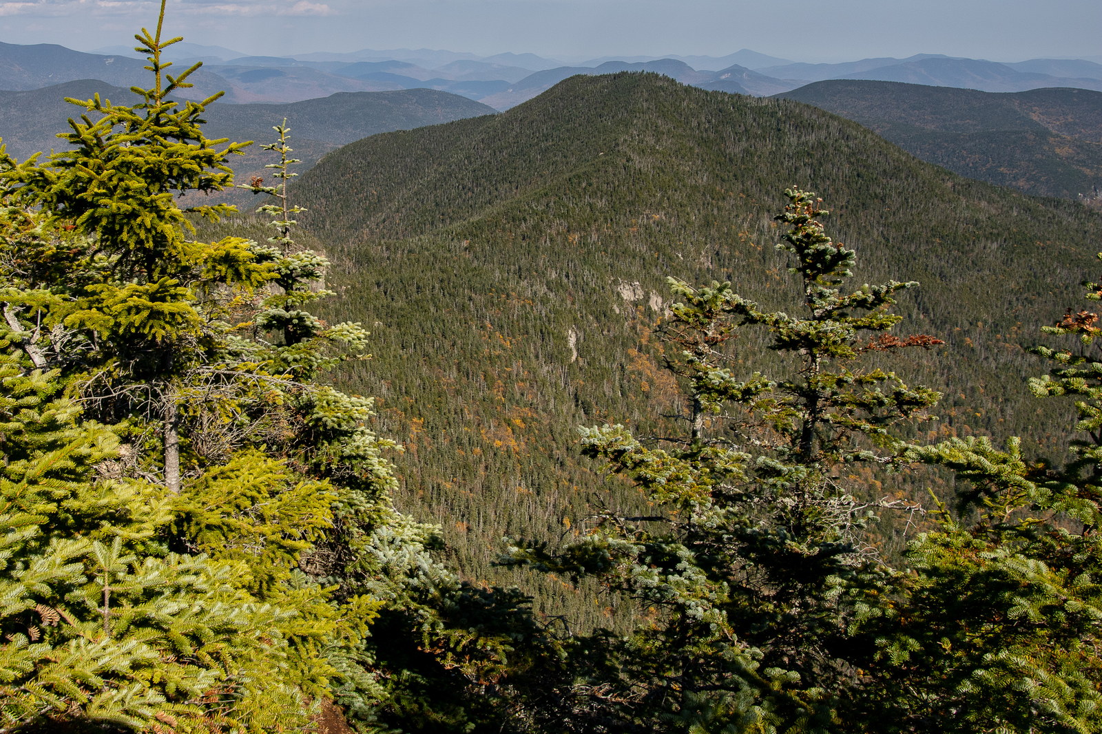 Mount Osceola - East Peak. Evergreen trees with Mount Osceola East peak in background under clear fall sky