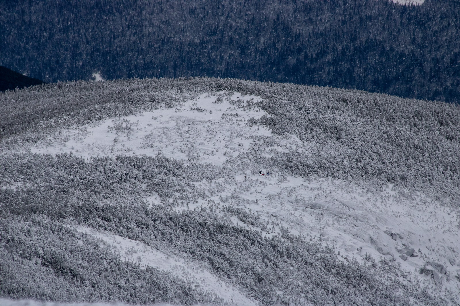 Vue de Mont Pierce dans les White Mountains