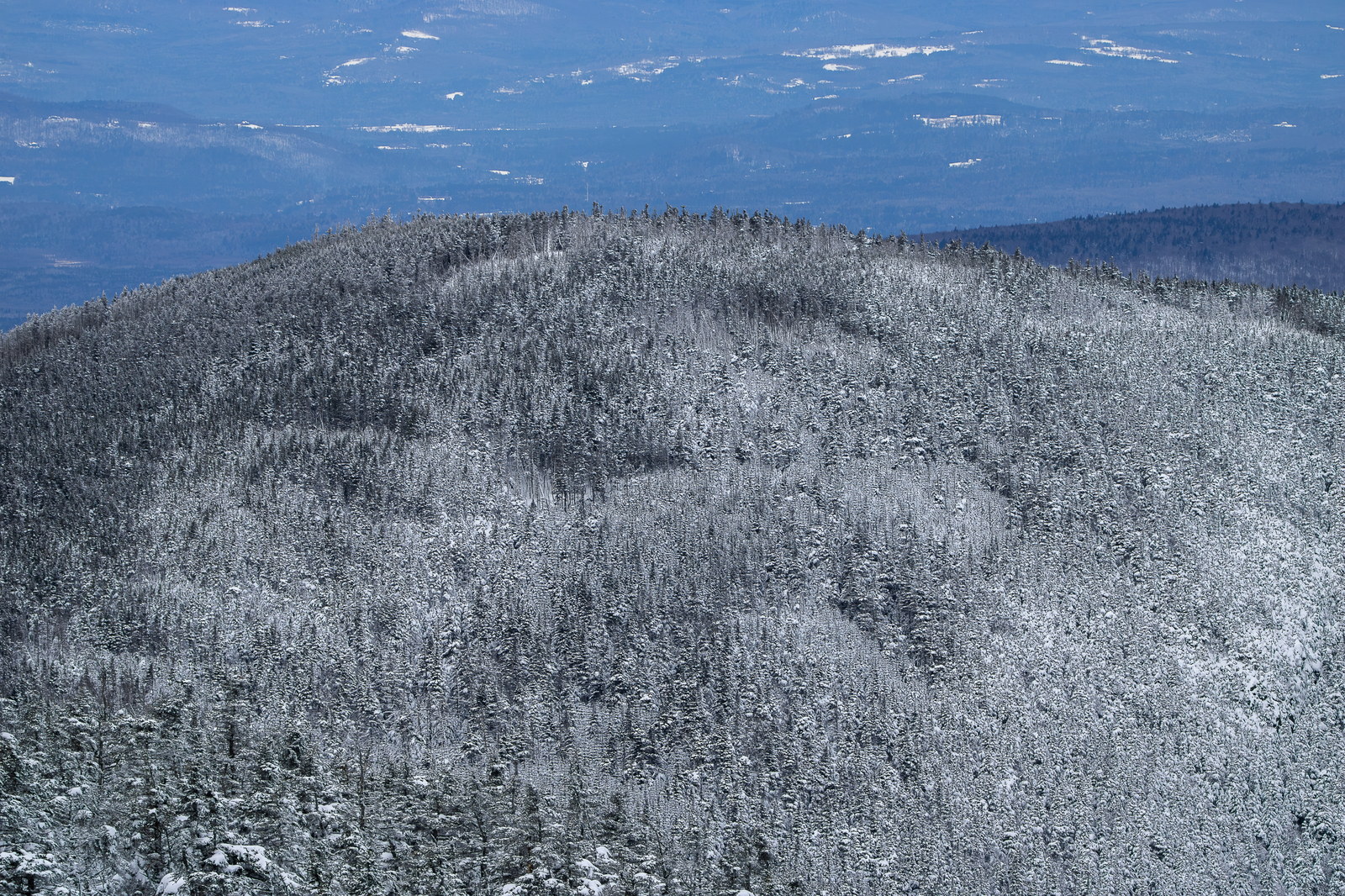 Snow-covered evergreen trees on Mount Tom in White Mountains winter