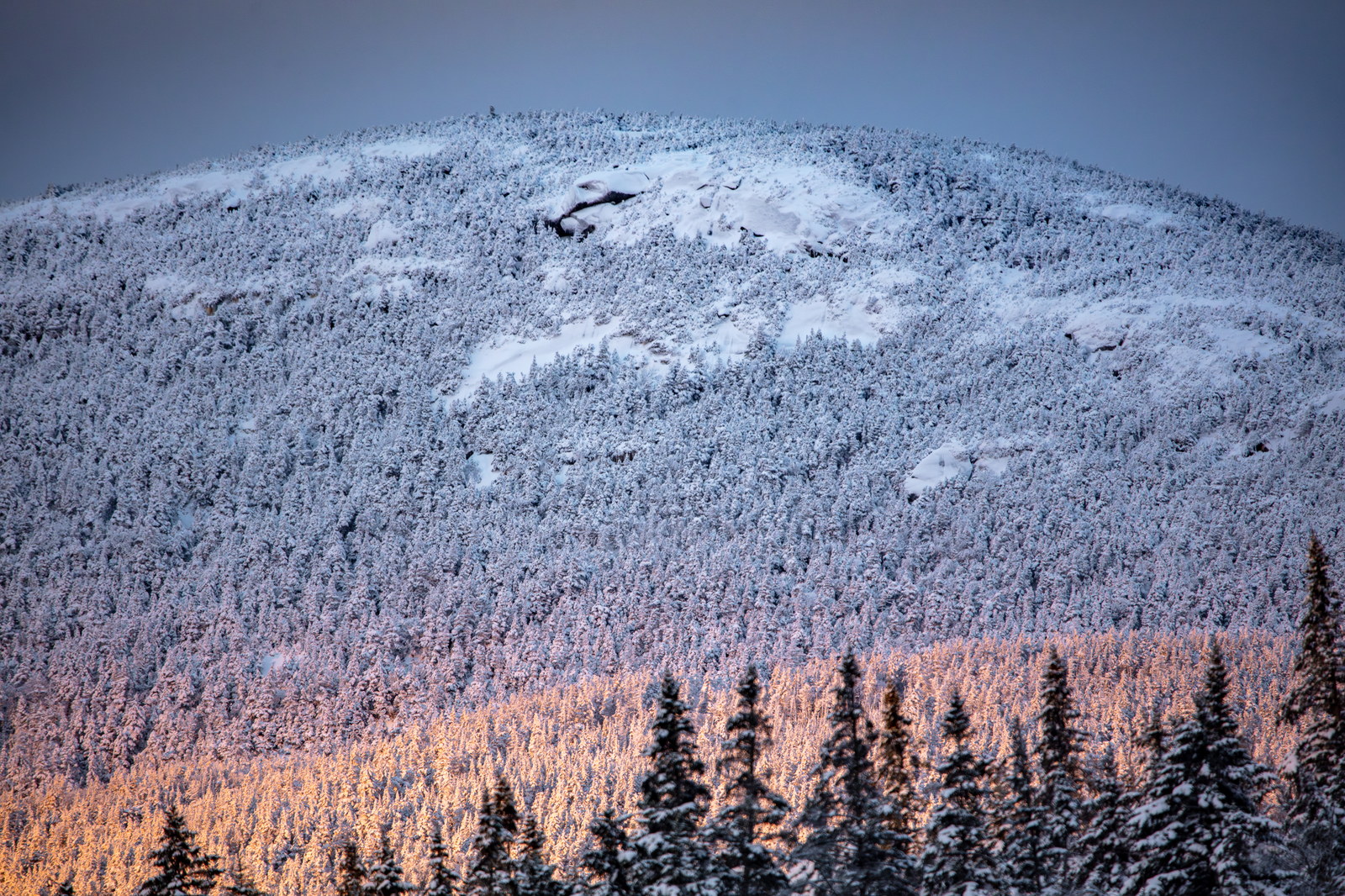 Snowy North Kinsman Mountain bathed in warm morning light with forest below