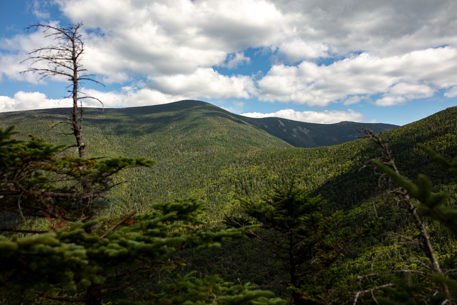 Vue de Mont North Twin dans les White Mountains