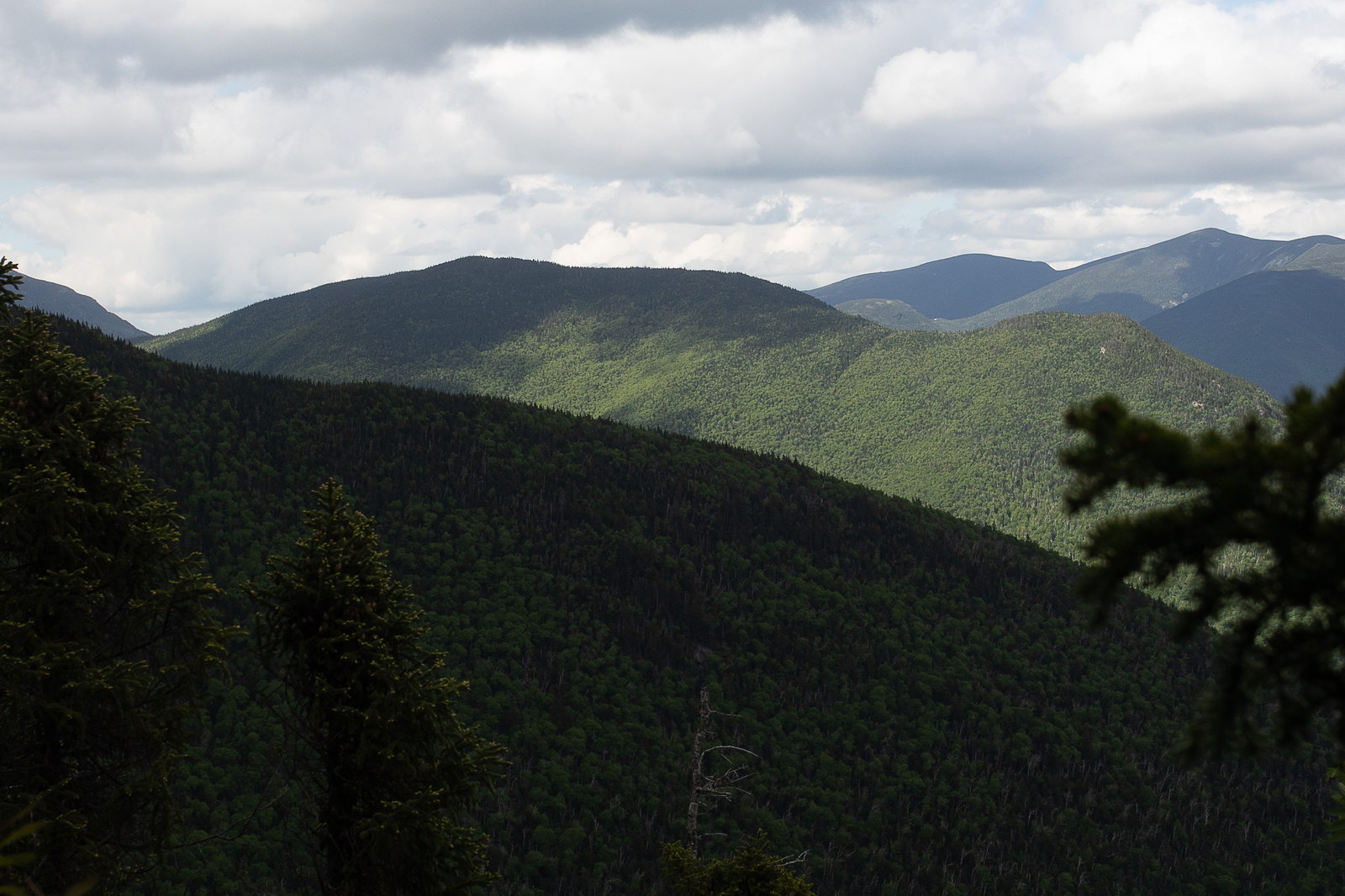 Vue de Mont Owl's Head dans les White Mountains