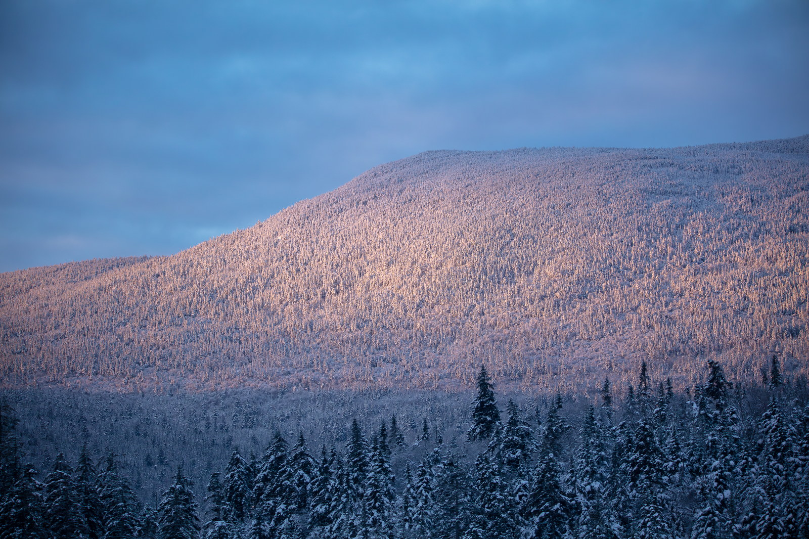 Sunlit snowy South Kinsman Mountain with forest in foreground under morning sky