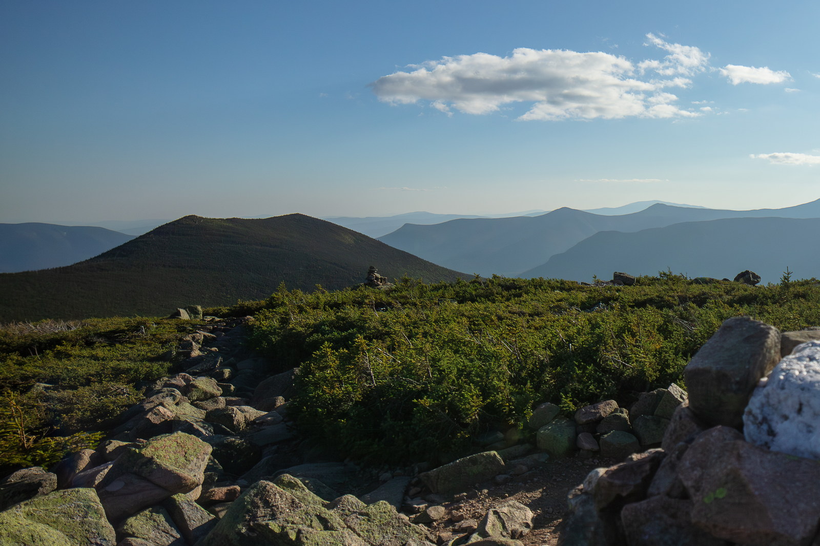 Rocky hiking path with alpine shrubs on West Bond ridge under blue sky