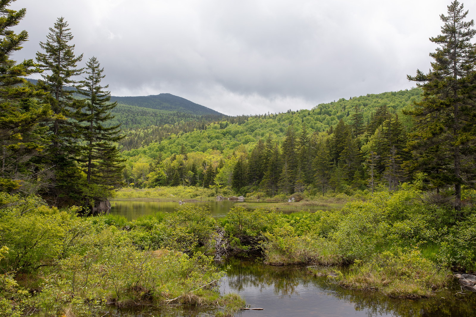 Zealand Mountain with clouds over wetlands and dense forest in White Mountains, New Hampshire