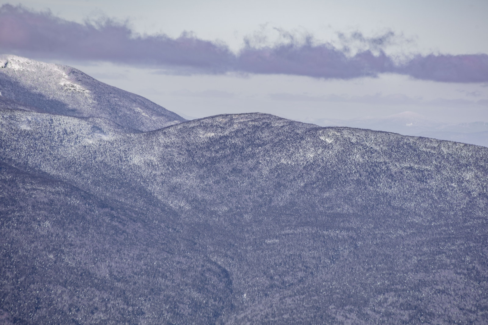 Snow-dusted forested slopes of Zealand Mountain in winter afternoon light