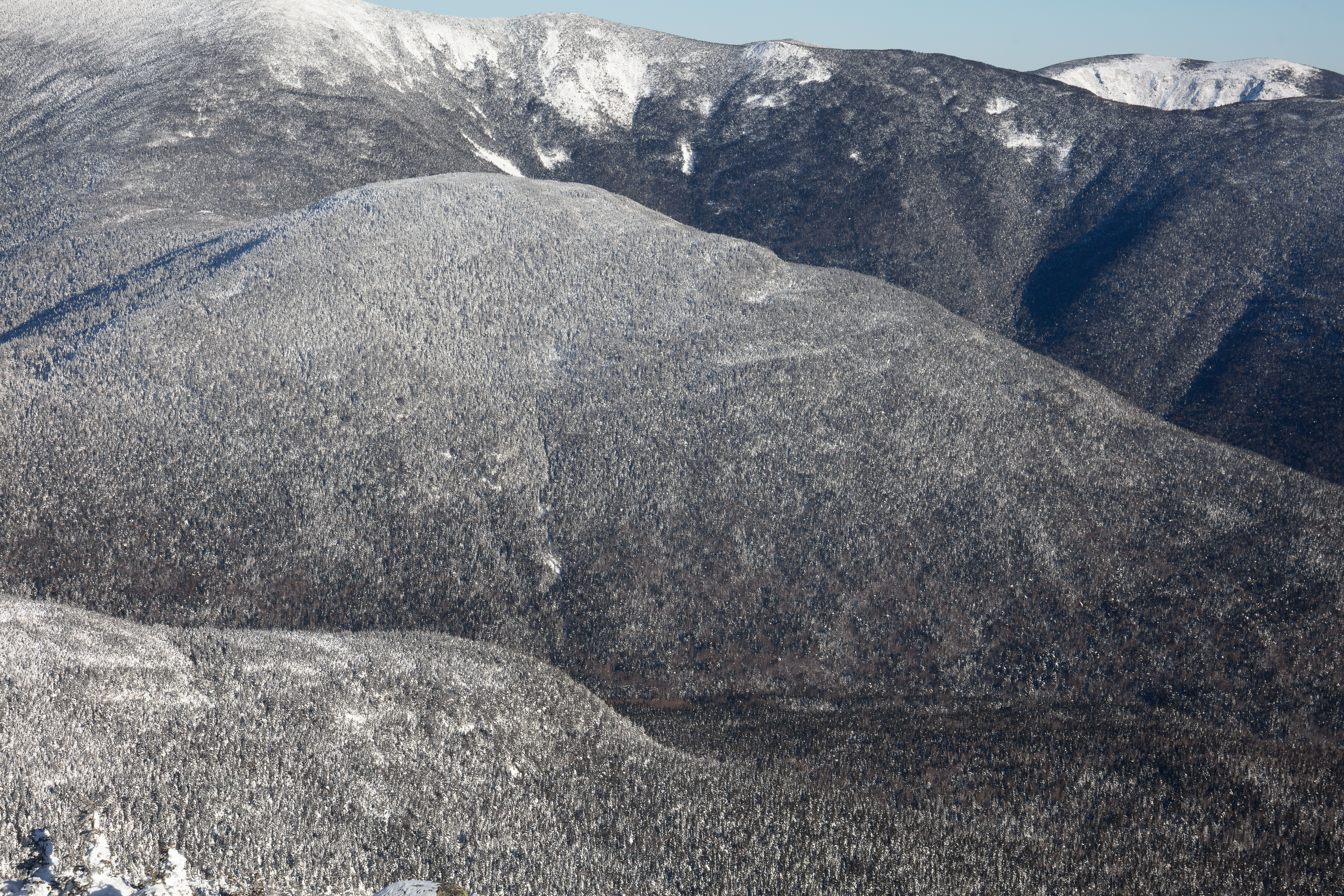 Snow-covered forest on Galehead Mountain under clear winter sky
