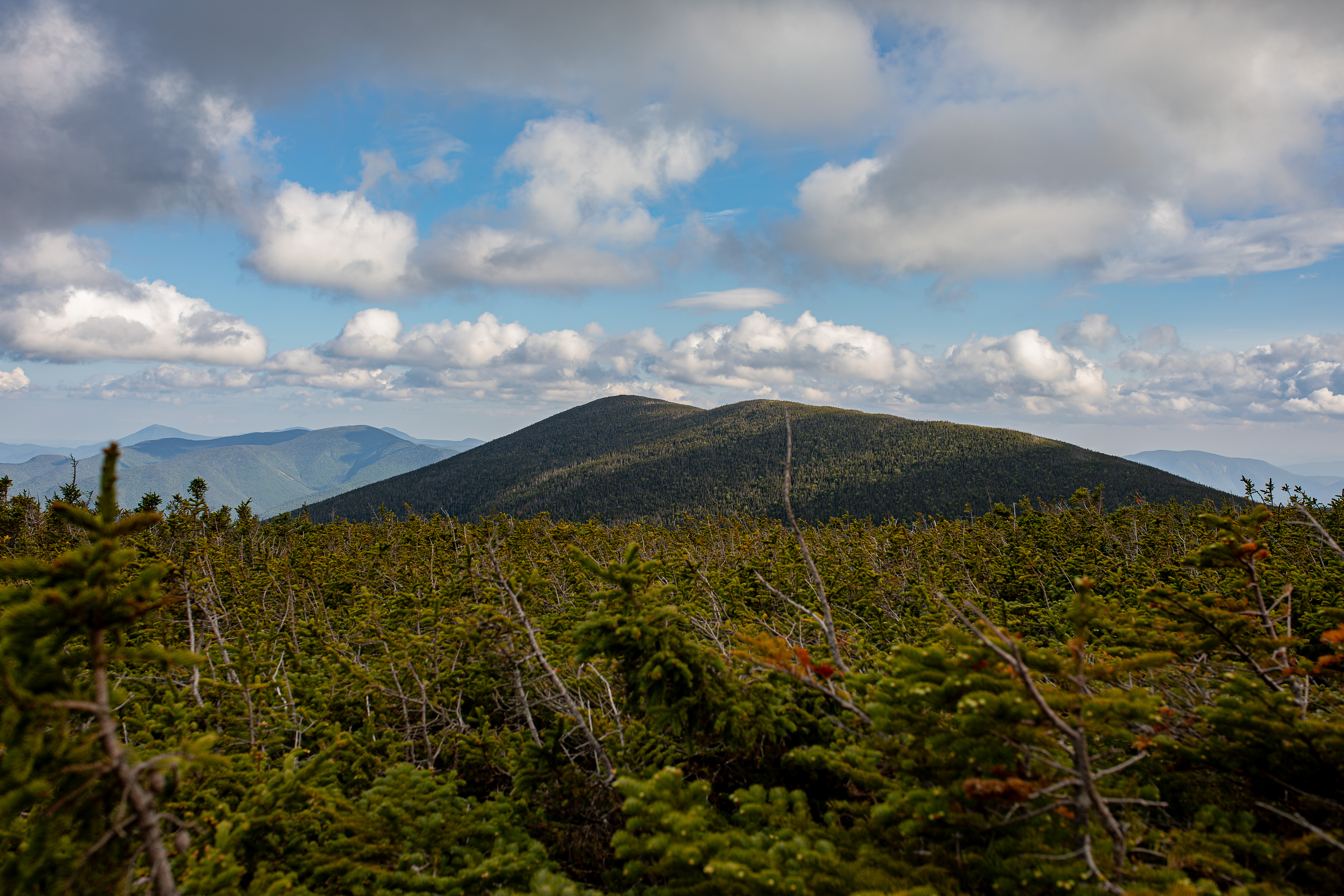Mount Bond