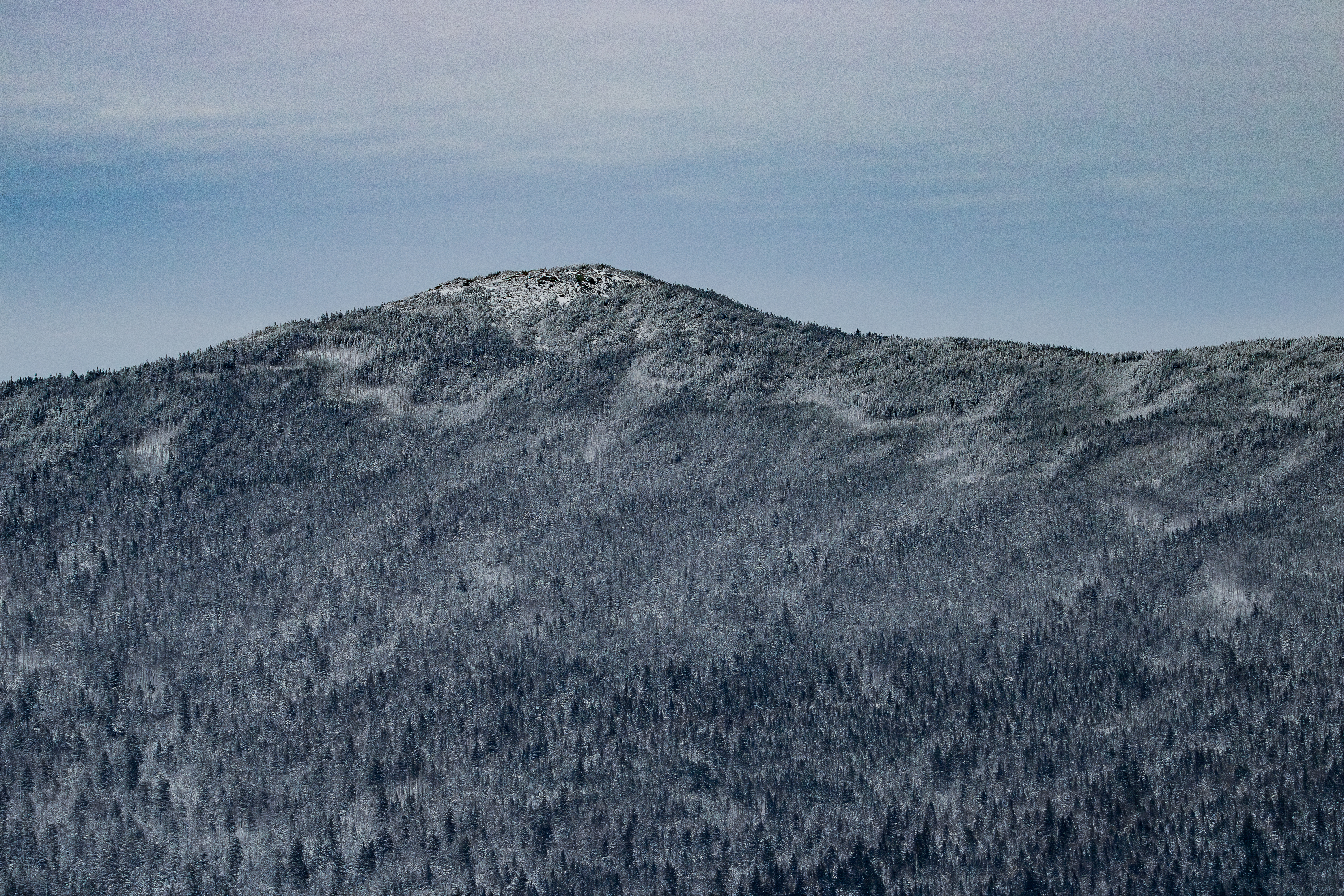 Mount Jackson snow-covered summit and frosted forest in White Mountains winter