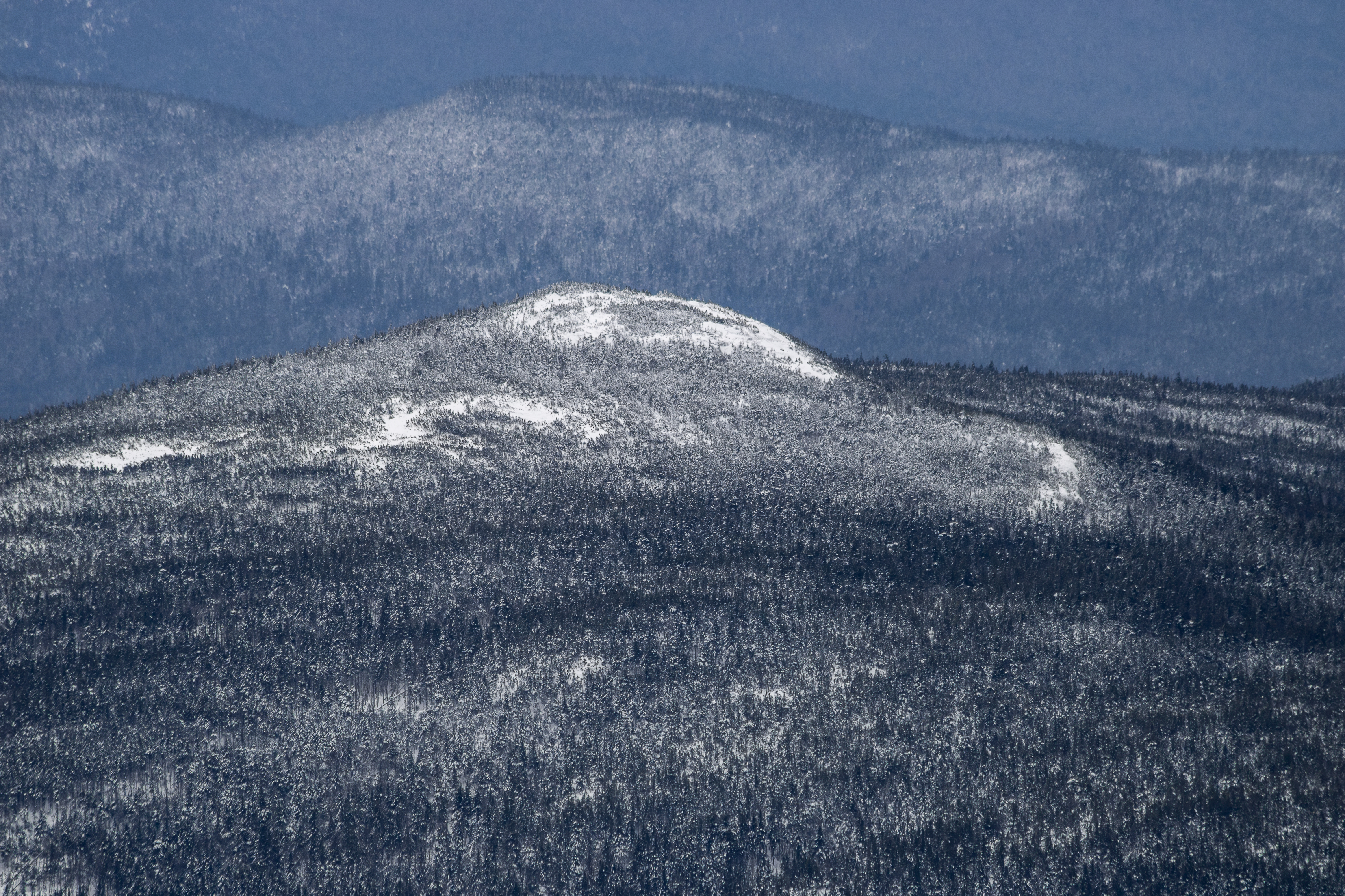 Snow-covered Mount Jackson ridge with dense frosted forest in winter afternoon light