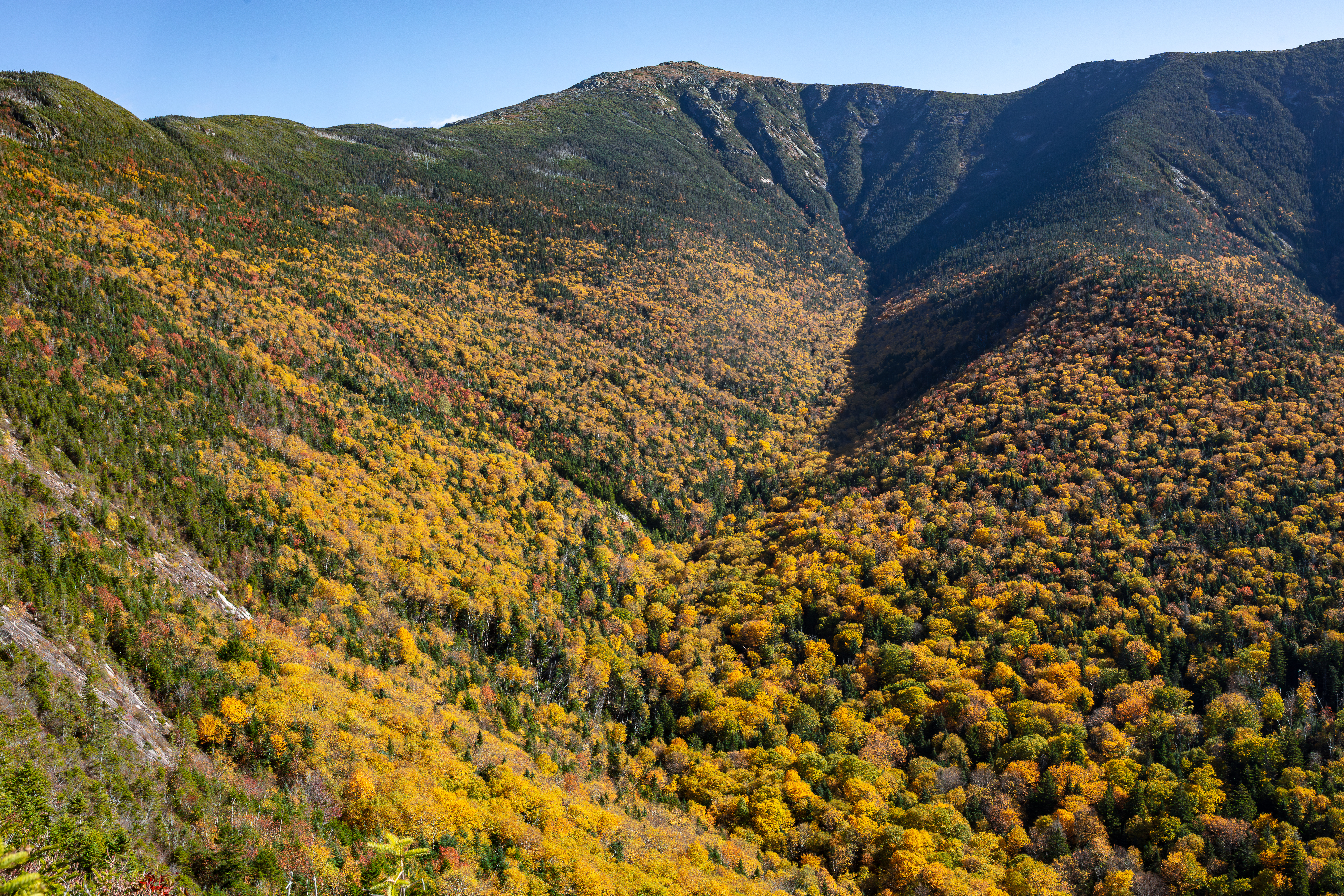 Fall foliage covering forested slopes below Mount Lafayette in White Mountains
