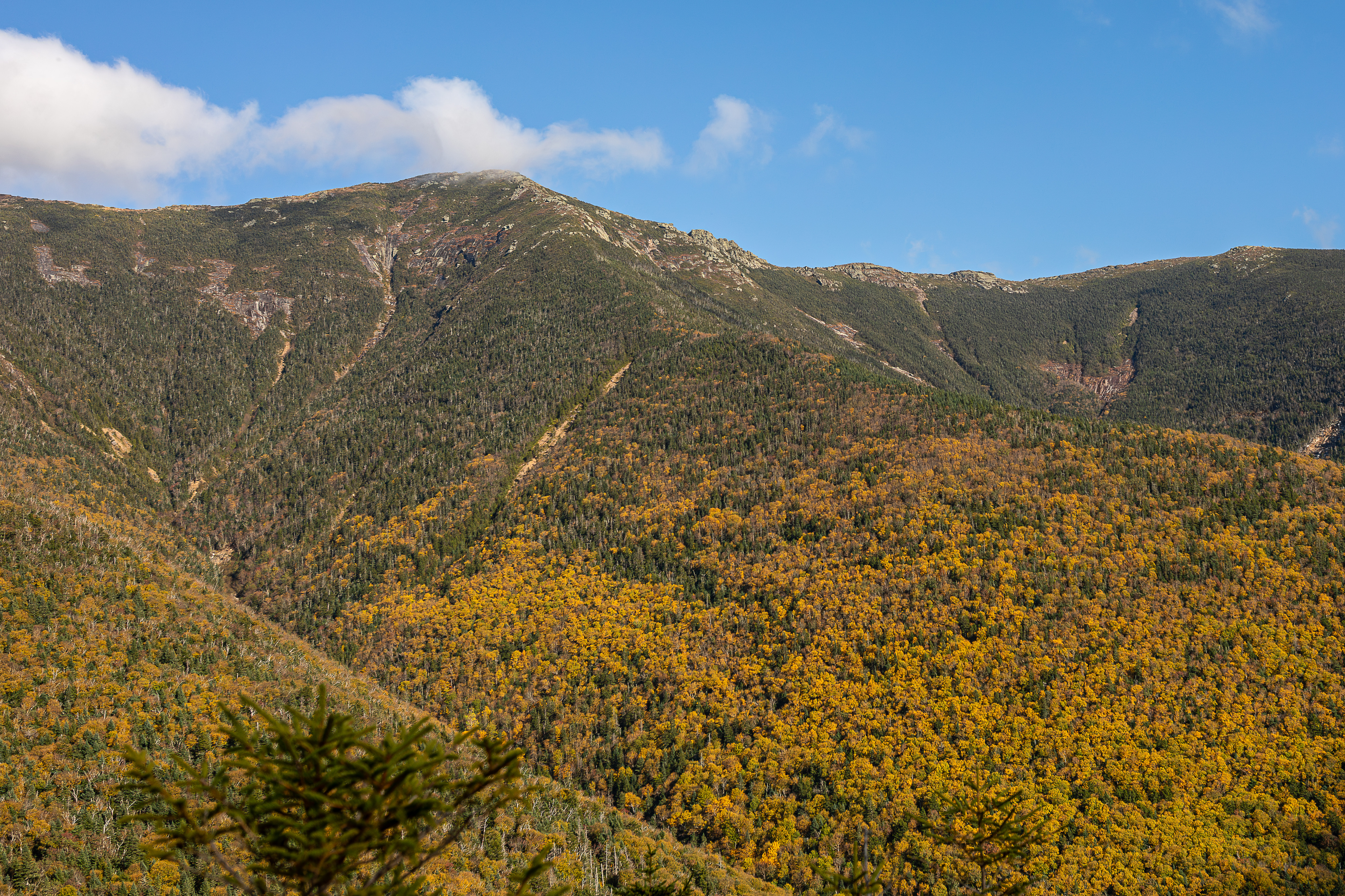 Mt. Lincoln