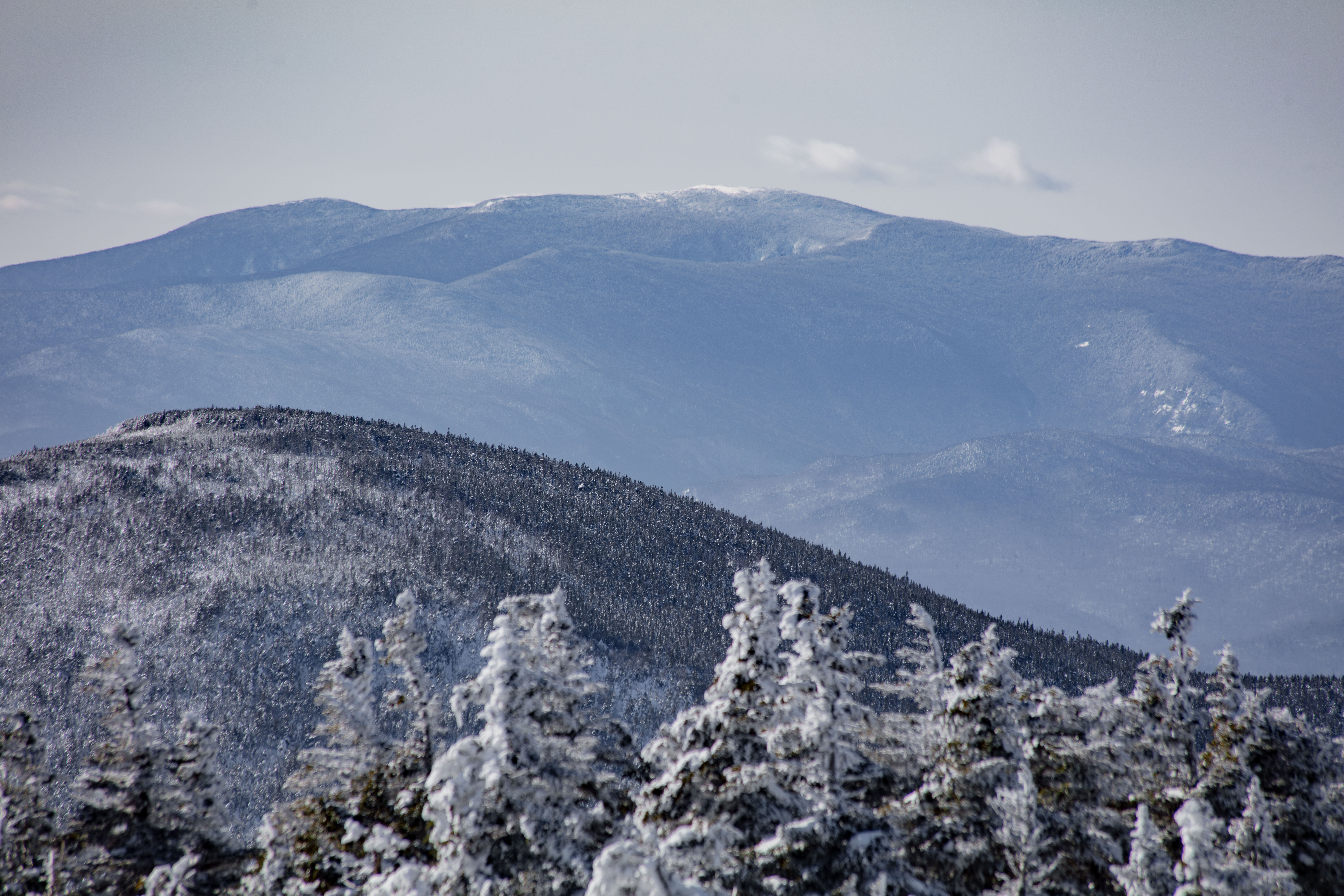 Snow-covered trees in foreground with Mount Moosilauke in winter background under clear sky