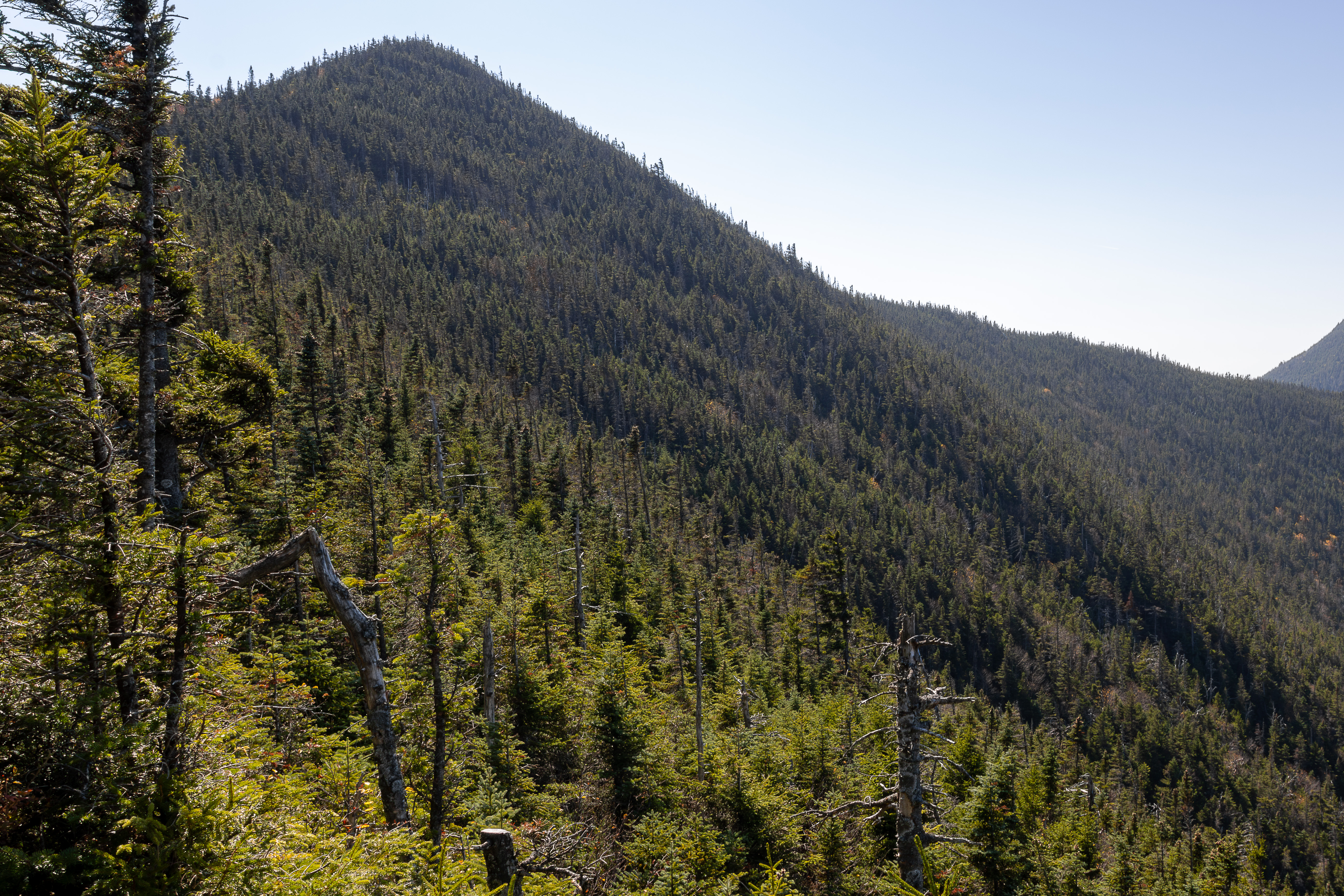 Mount Osceola - East Peak.