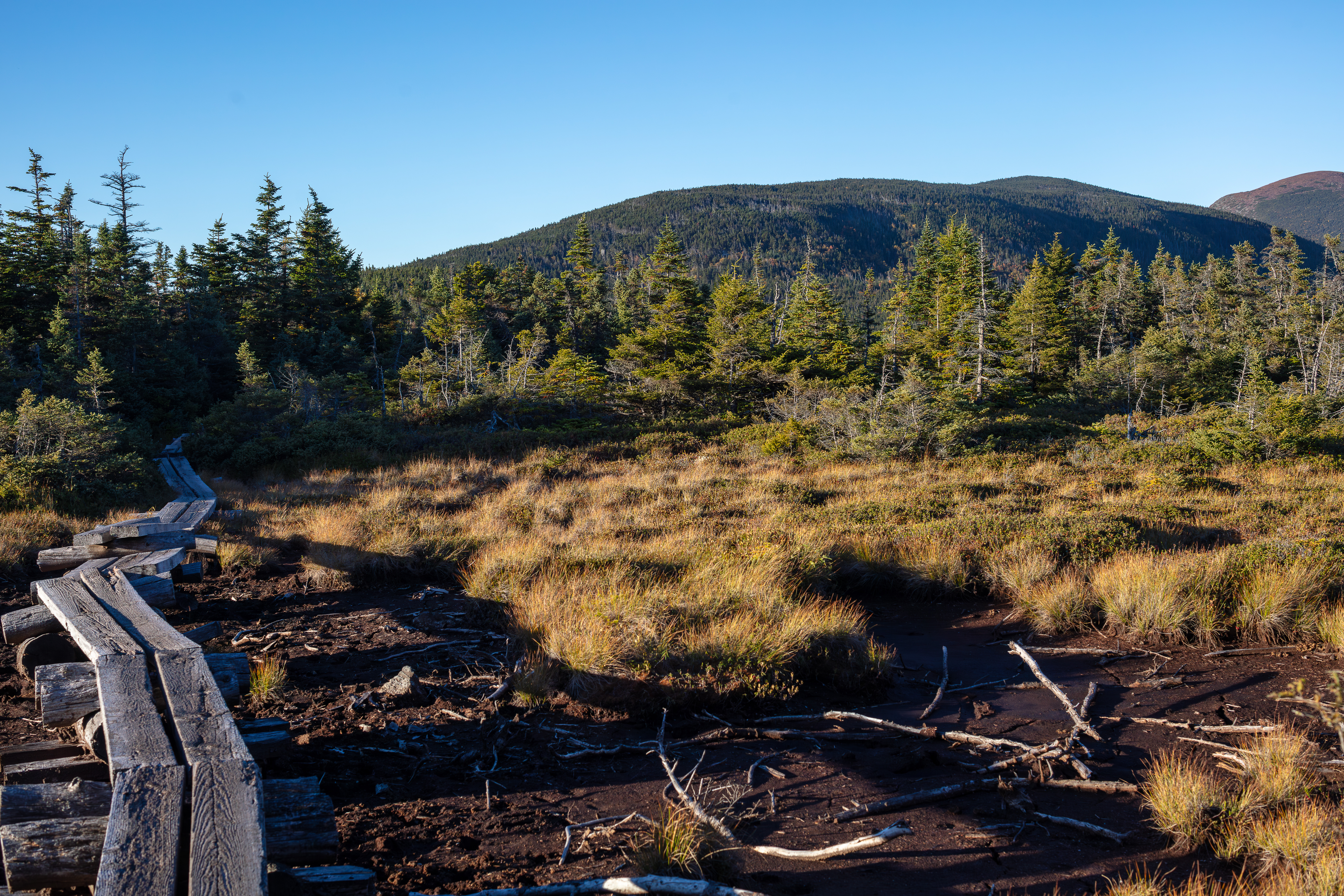 Mount Pierce