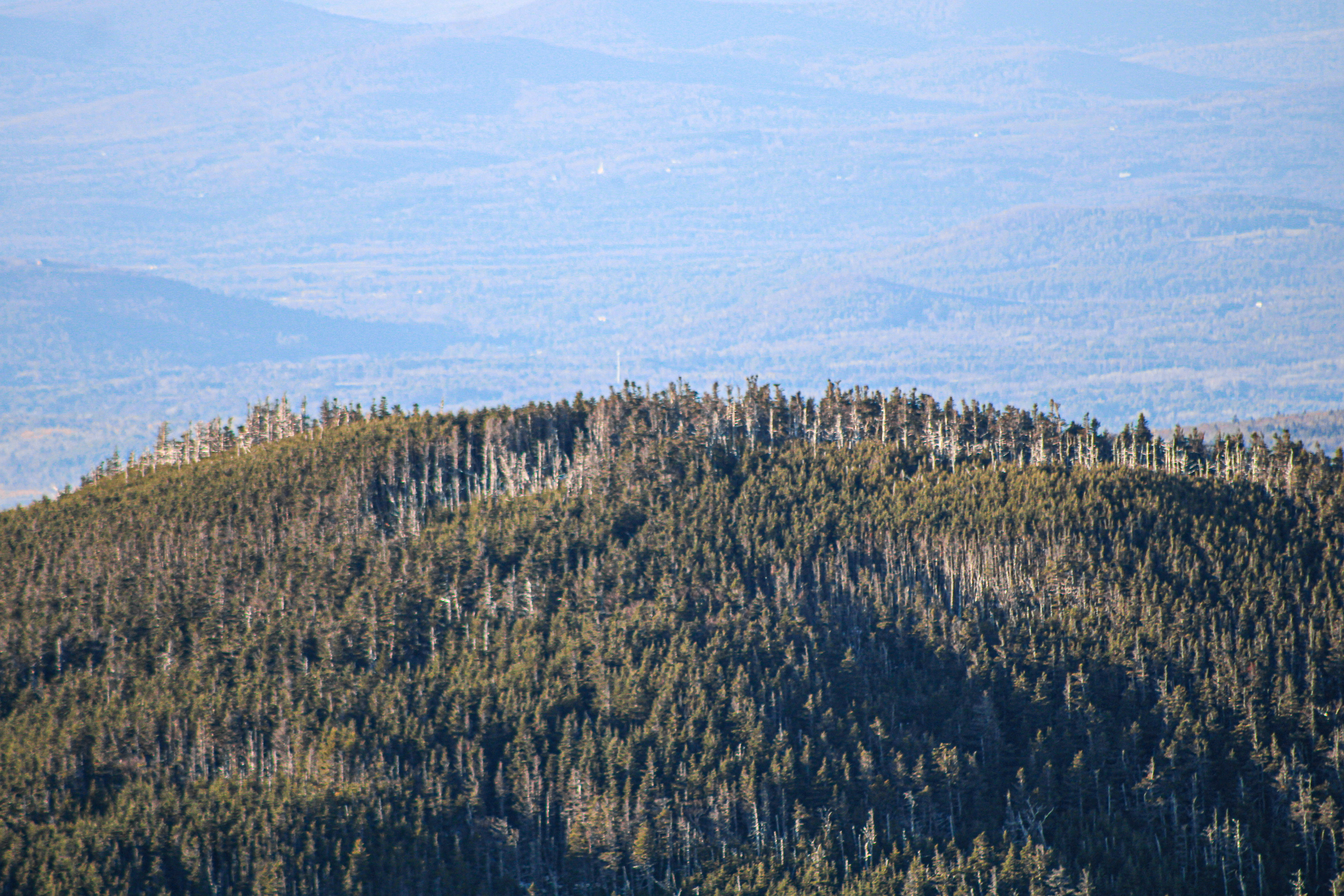 Mount Tom