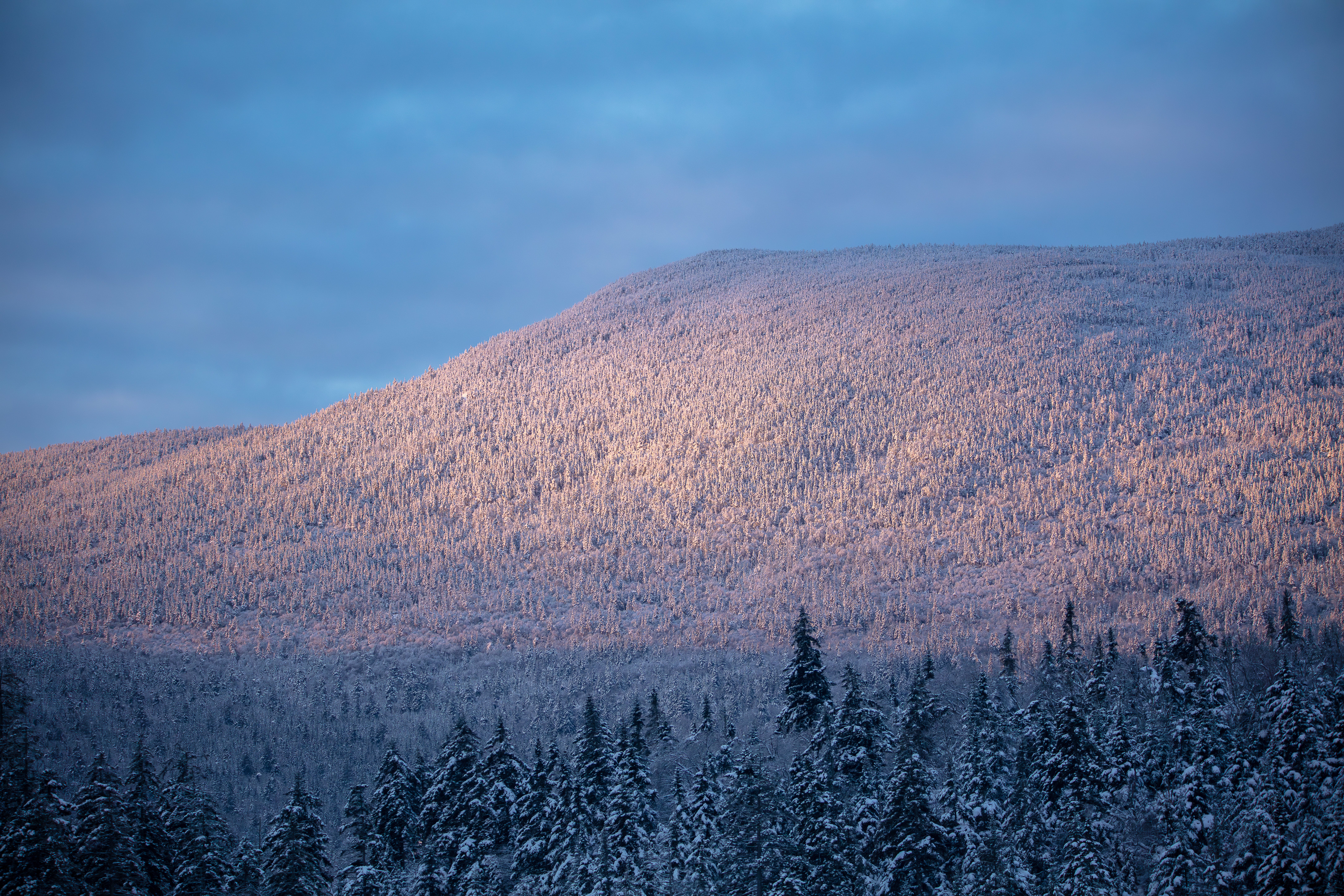 Sunlit snowy South Kinsman Mountain with forest in foreground under morning sky